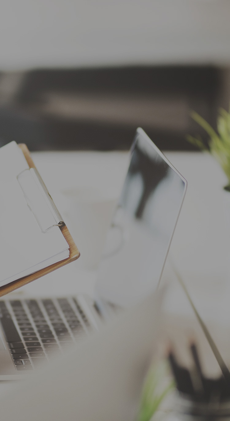 プログラムの特徴